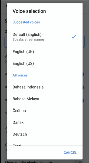 Change Google Maps Voice