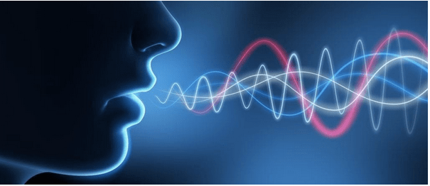 who makes the best voice recognition software