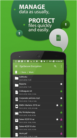 EgoSecure Encryption Anywhere