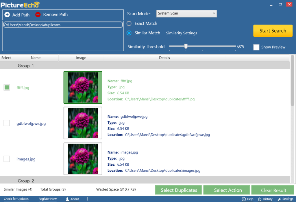 PictureEcho