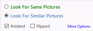 Search Options