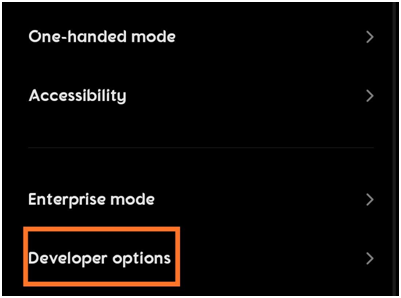 developer options