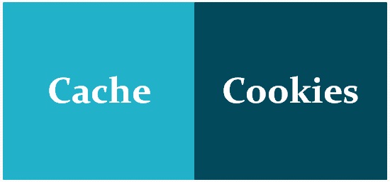 clear chrome cookies and cache logo