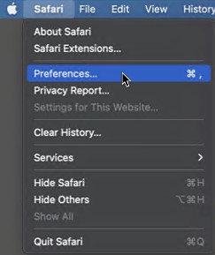 Safari browser