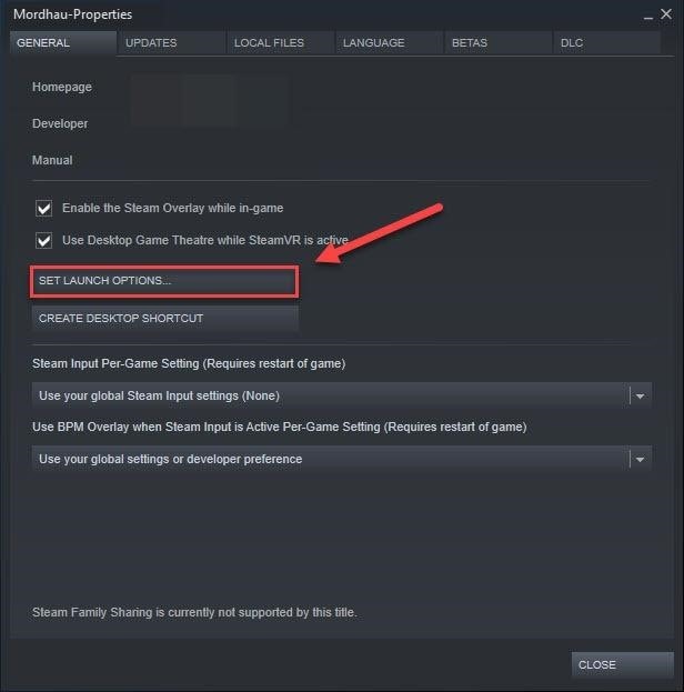 Use DirectX 12 to Launch Mordhau