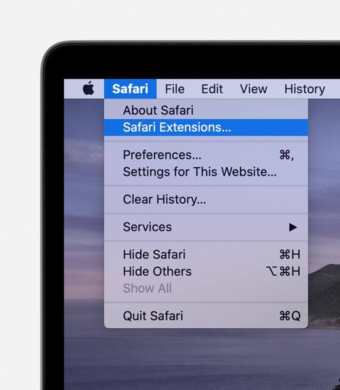 uninstall safari extension