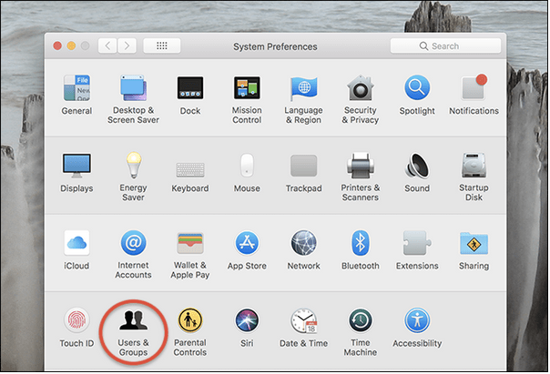use Root Account on Mac