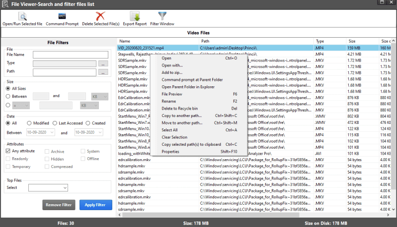 open with the list of files Organized Manner- Disk Analyzer Pro