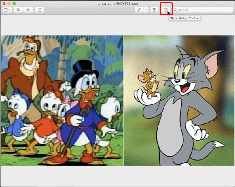 Show Markup Toolbar