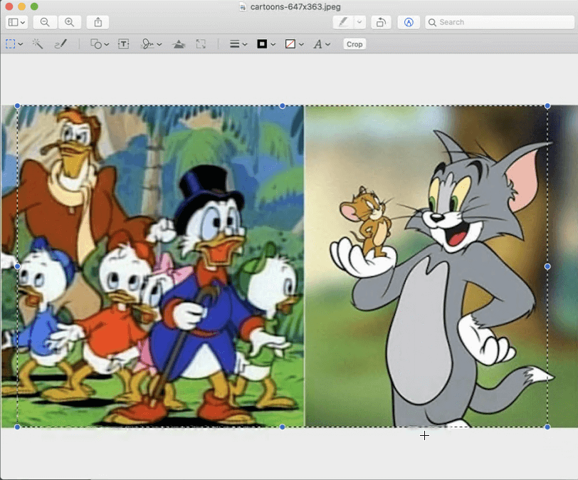 the image’s area to crop