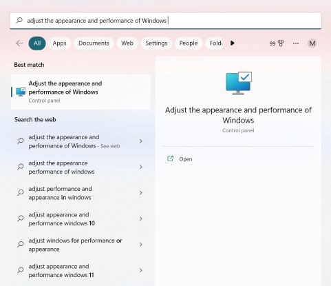 adjust the appearance and performance of Windows