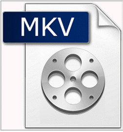 best mkv player windows