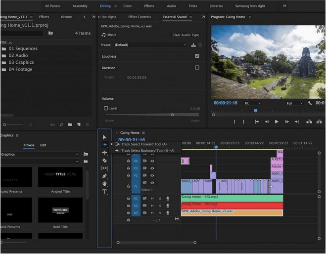 Video Editing Software For Professionals