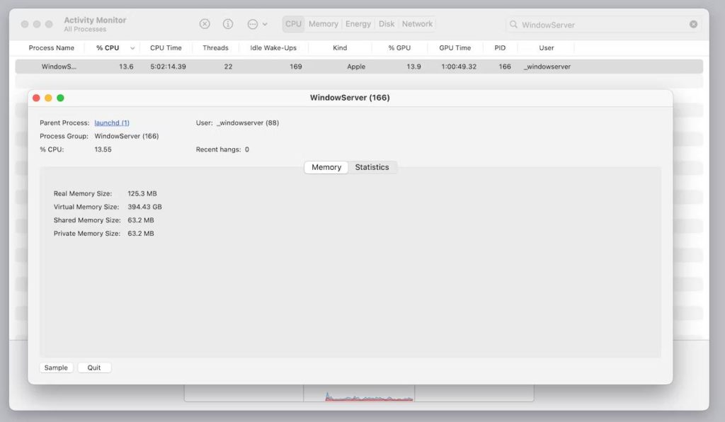 Window Server