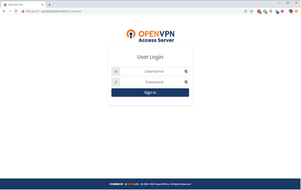 VPN öffnen