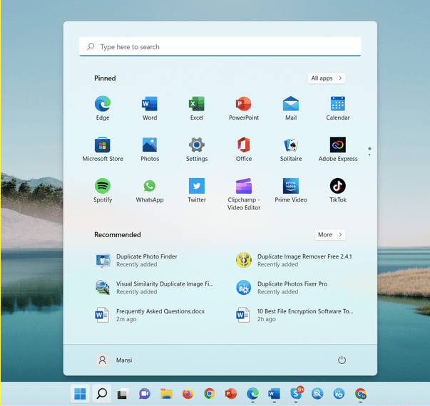 Windows 11 Search Bar not Working