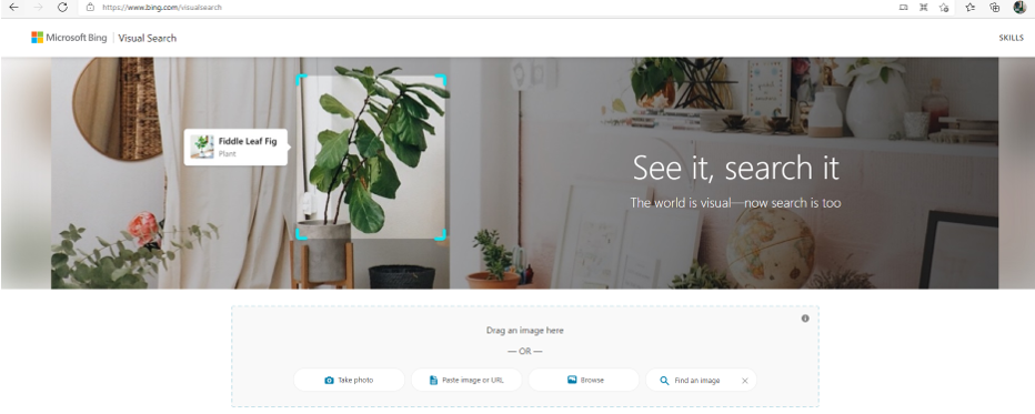 Visual search