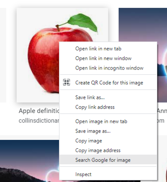 Search Google for this image option
