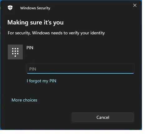 pin
