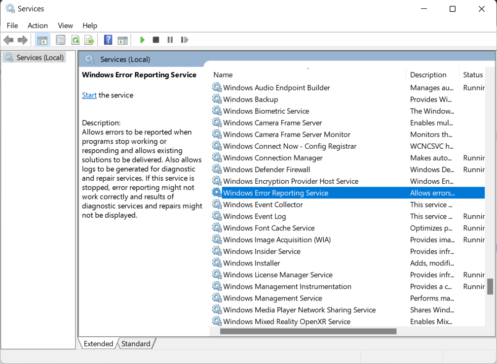 Services Window