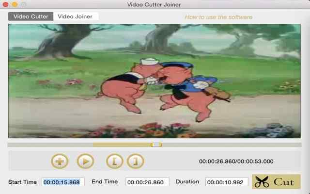 Video Splitting software