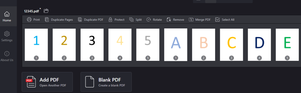 Second PDF pages