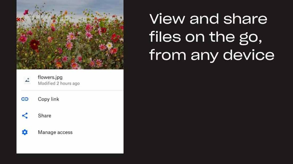 alternative to wetransfer