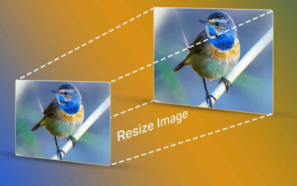 Image Resizer