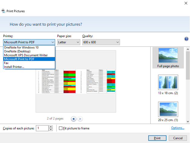 PDF option