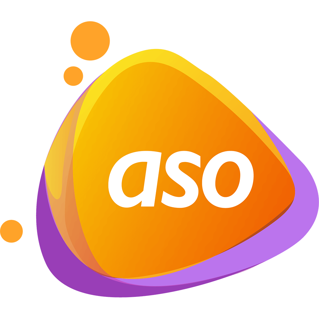 advanced system optimizer