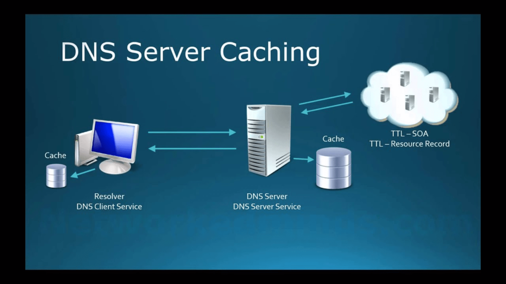 DNS Services