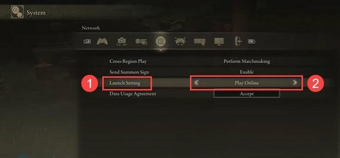 Elden Ring Multiplayer Not Working