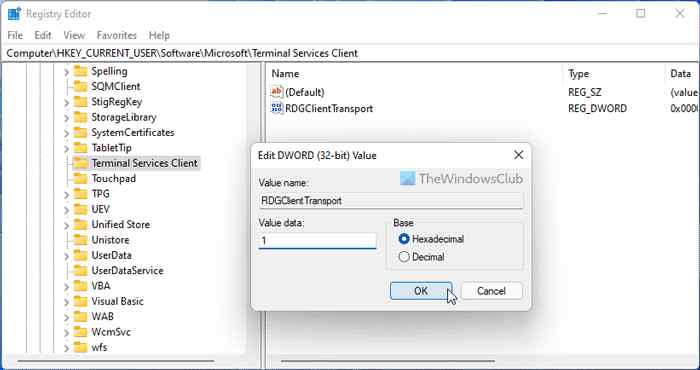terminal service client tab select