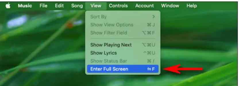 full-screen