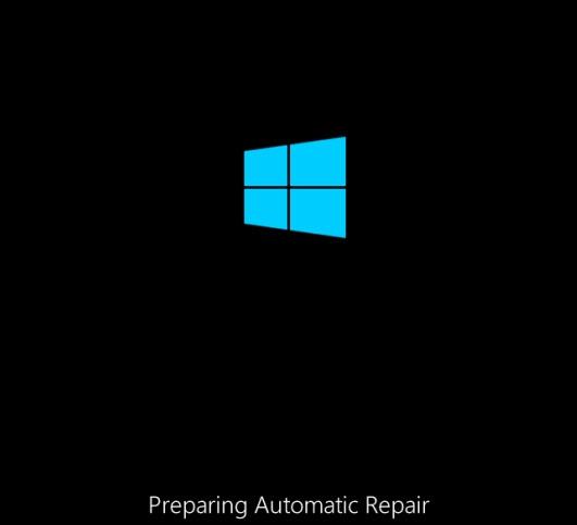 recovery it looks like Windows didn't load correctly