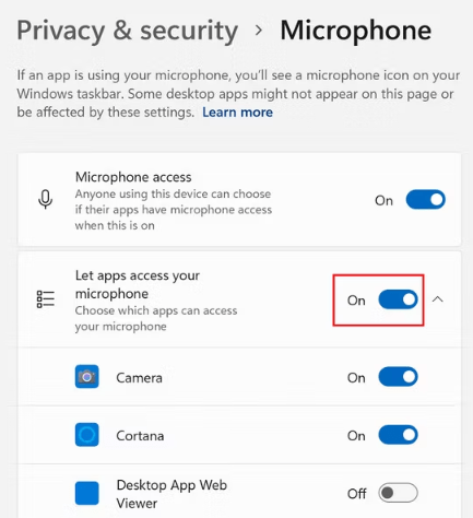 access to your microphone