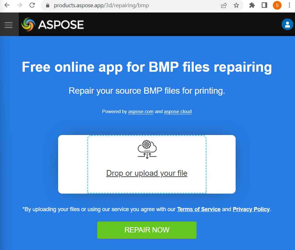Repair BMP Online