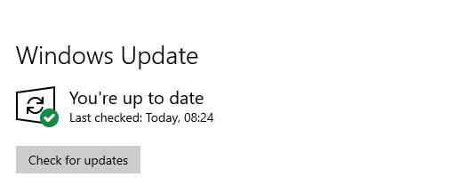 Stray Not Launching On Windows PC