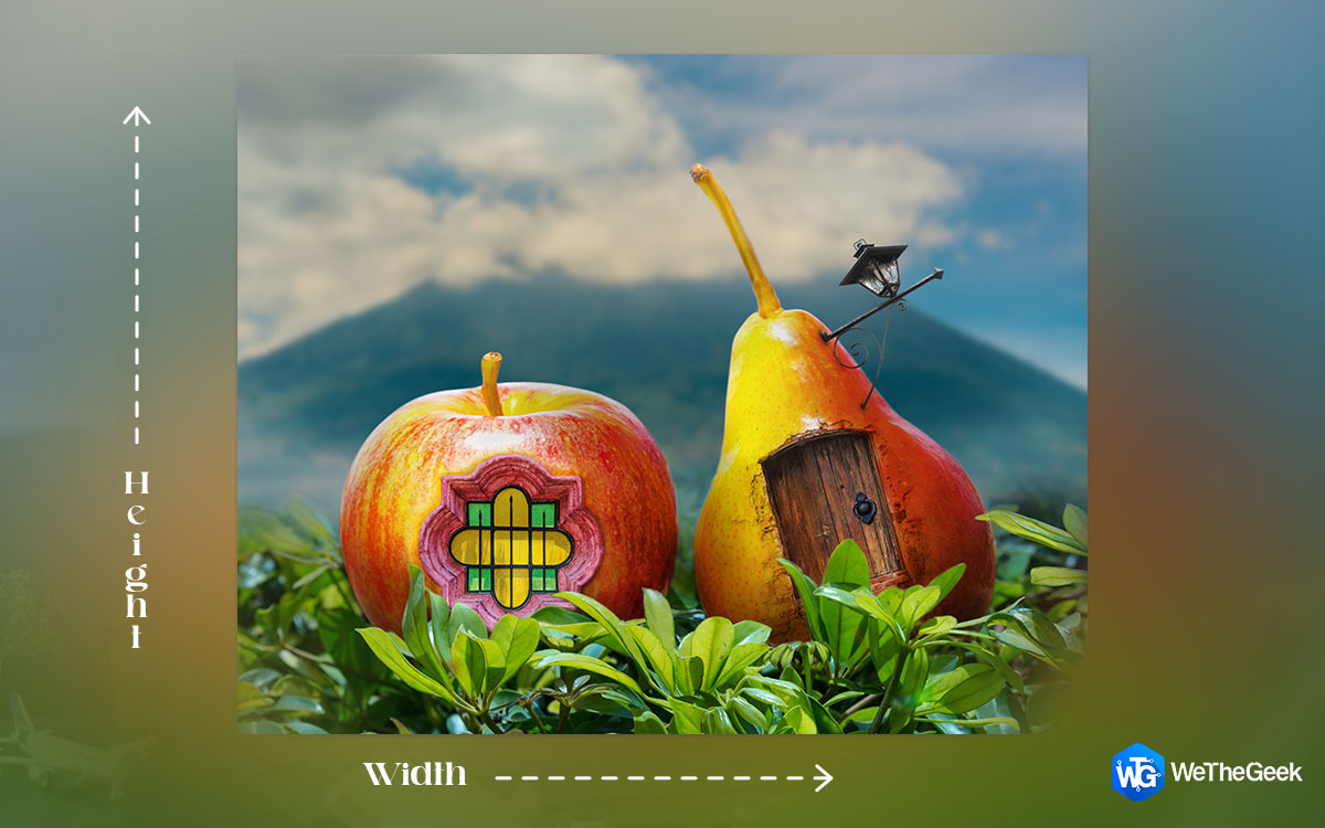 How to Find Width & Height of Your Image?