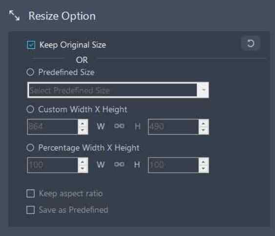 resize-option