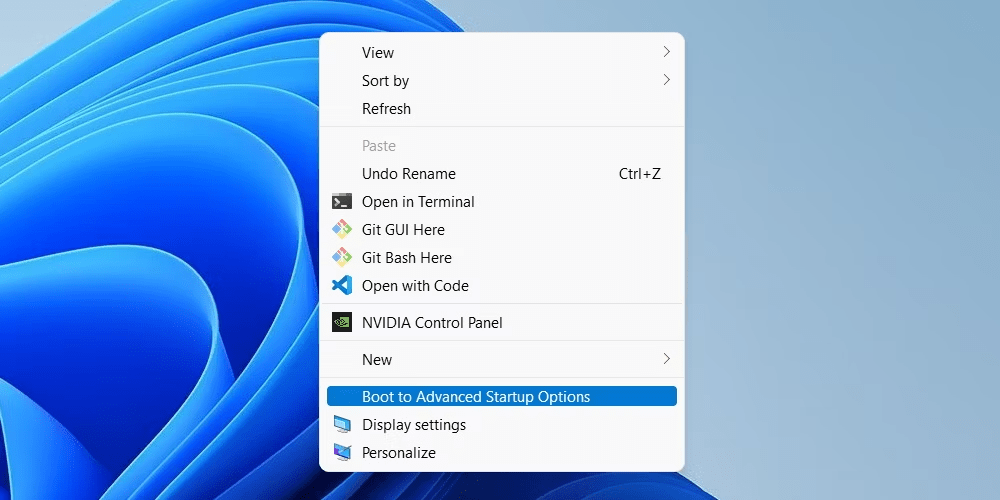 Advanced Startup Options