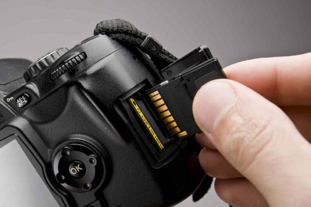 nikon photos