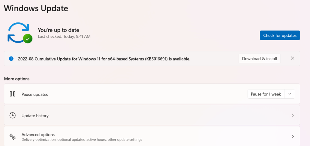 NVIDIA graphic card not detected