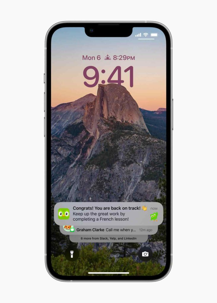 notifications notifications