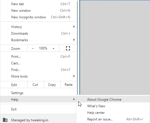 About Google Chrome