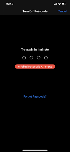 forgot my screen time passcode