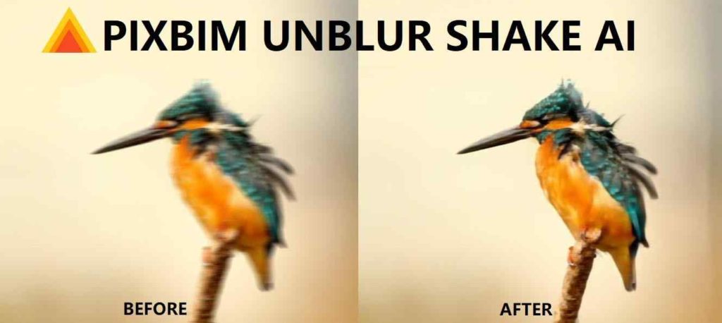 Pixbim