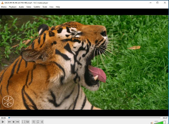 VLC Player