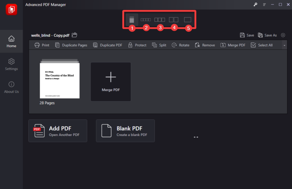 Advanced PDF Manager