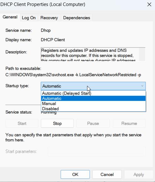 DHCP Client properties